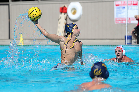 USA Water Polo: National League: NYAC vs Cal