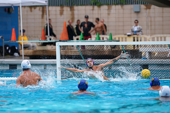 MWP:California Golden Bears vs UCSB Gauchos