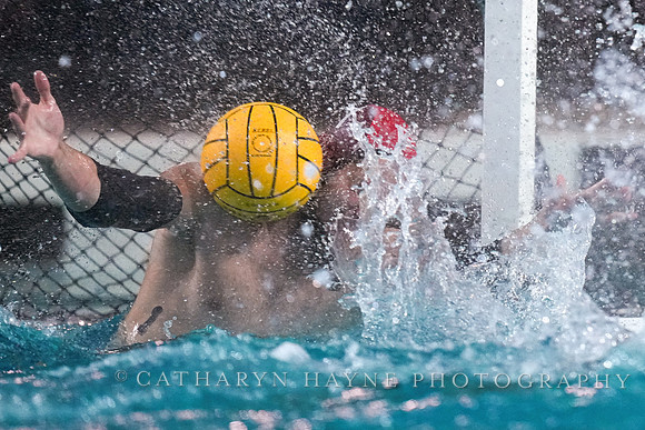 MWP: Fordham University Rams vs Long Beach State