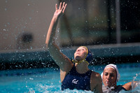 Cal vs Arizona State University Women's Water Polo