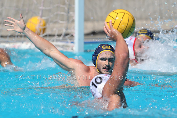 USA Water Polo: National League: NYAC vs Cal