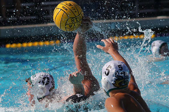 High School Water Polo: Redwood High School Varsity vs Palo Alto High School Varsity