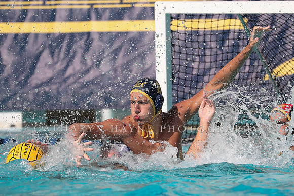 Collegiate Mens Water Polo: California Golden Bears vs UC Santa Barbara Gauchos