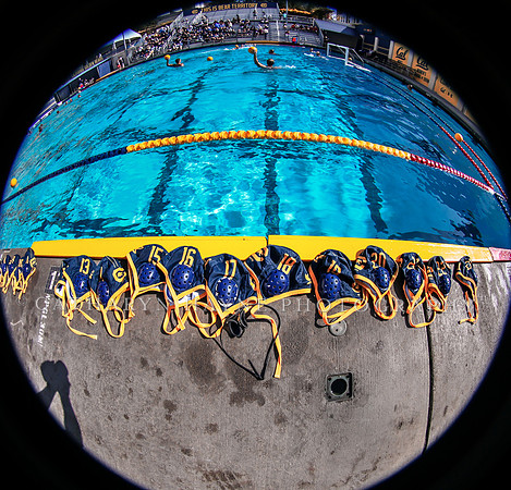 Collegiate Mens Water Polo: California Golden Bears vs UC Santa Barbara Gauchos