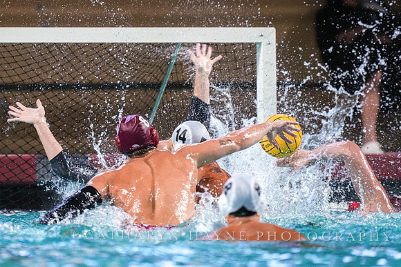 MWP: Fordham University Rams vs Long Beach State