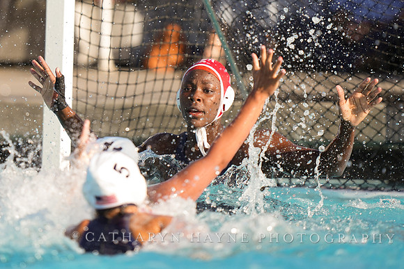 WWP: USA vs Italy