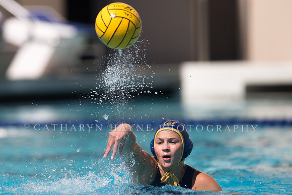 Cal vs Arizona State University Women's Water Polo