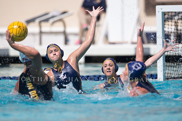 Cal vs Arizona State University Women's Water Polo