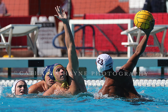 Collegiate Men's Water Polo: MPSF Invitational: UC San Diego Tritons vs Santa Clara University Broncos