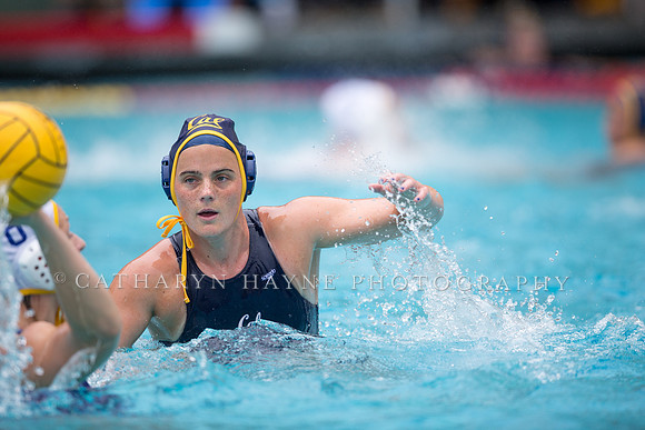 Cal vs San Jose State University