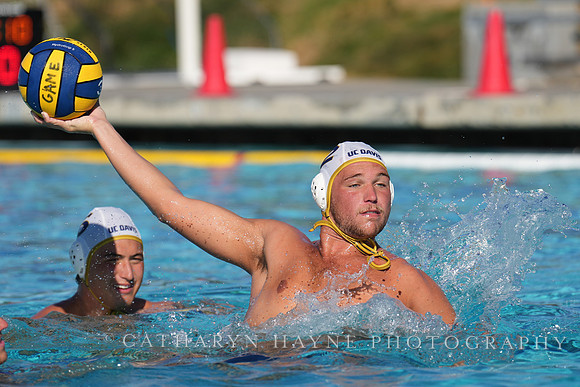 MWP: UC Davis Aggies Alumni Game
