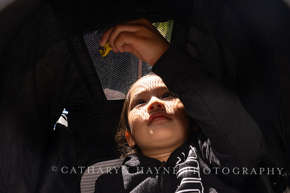 UCSF Carnaval