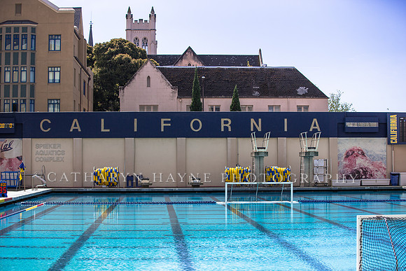 Cal vs Arizona State University Women's Water Polo