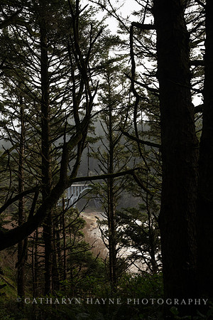 Heceta Head Lighthouse
