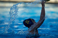 Cal vs UC Davis at California Speedo Cup