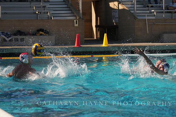 MWP: UC Davis Aggies Alumni Game