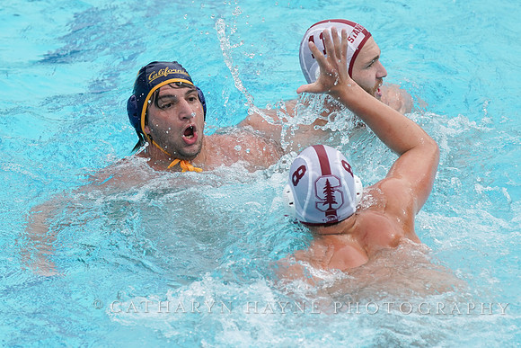 MWP: MPSF:California Golden Bears vs Stanford Cardinals