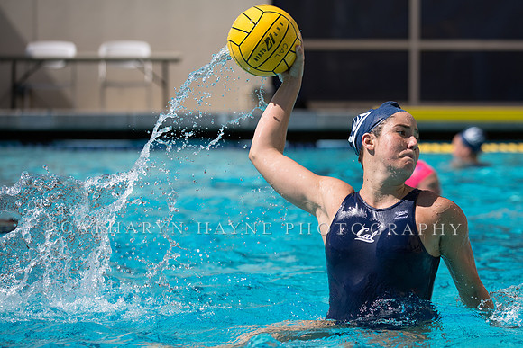 Cal vs Arizona State University Women's Water Polo