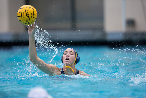Cal vs San Jose State University